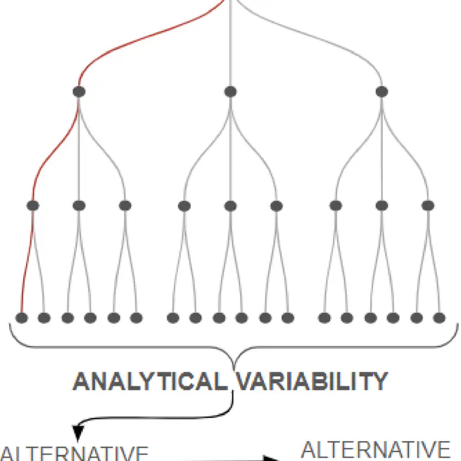 Investigating the analytical robustness of the social and behavioural sciences